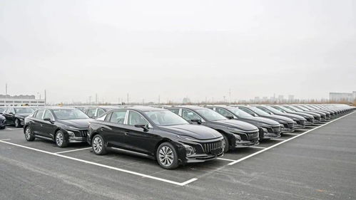 紅旗智造，領(lǐng)航未來 中國一汽繁榮工廠搶占新能源汽車行業(yè)制高點