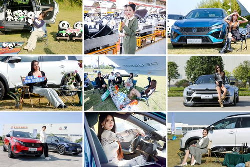 雙十一搞廠家直銷，壕禮連送12天，這家法系車企愛了愛了！